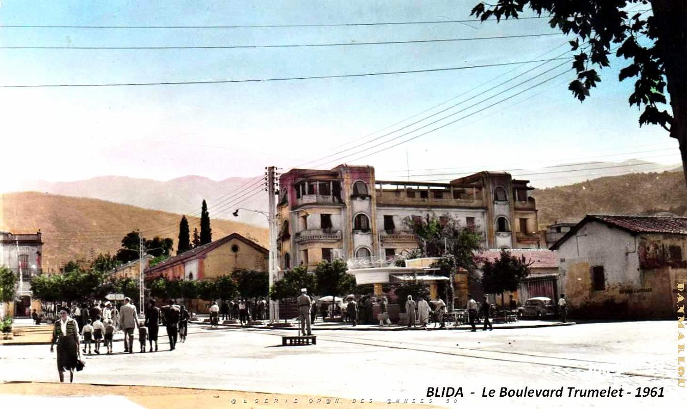 2761- Blida - Boulevard Trumelet - 1961.jpg